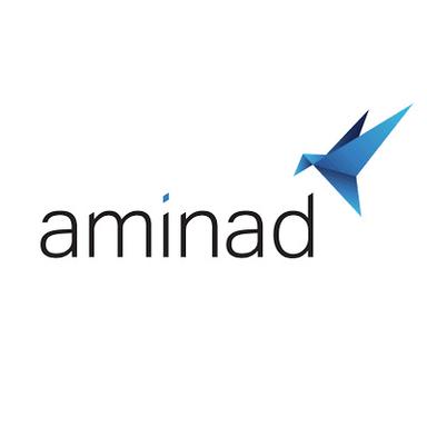 Aminad Consulting logo