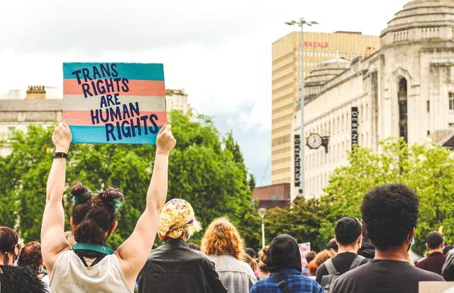 Crowd of people with someone holding a sign with the trans flag painted on it, reading "trans rights are human rights"